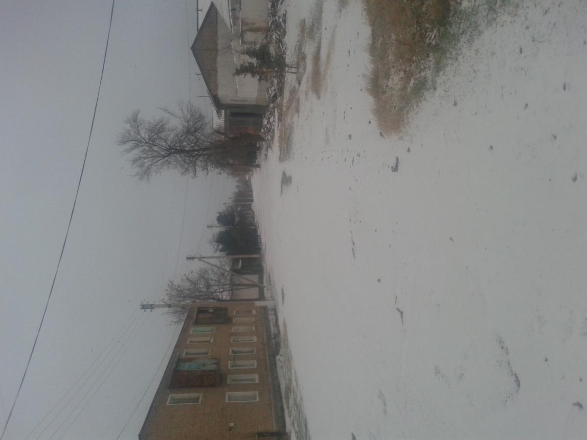 20161121_073101.jpg