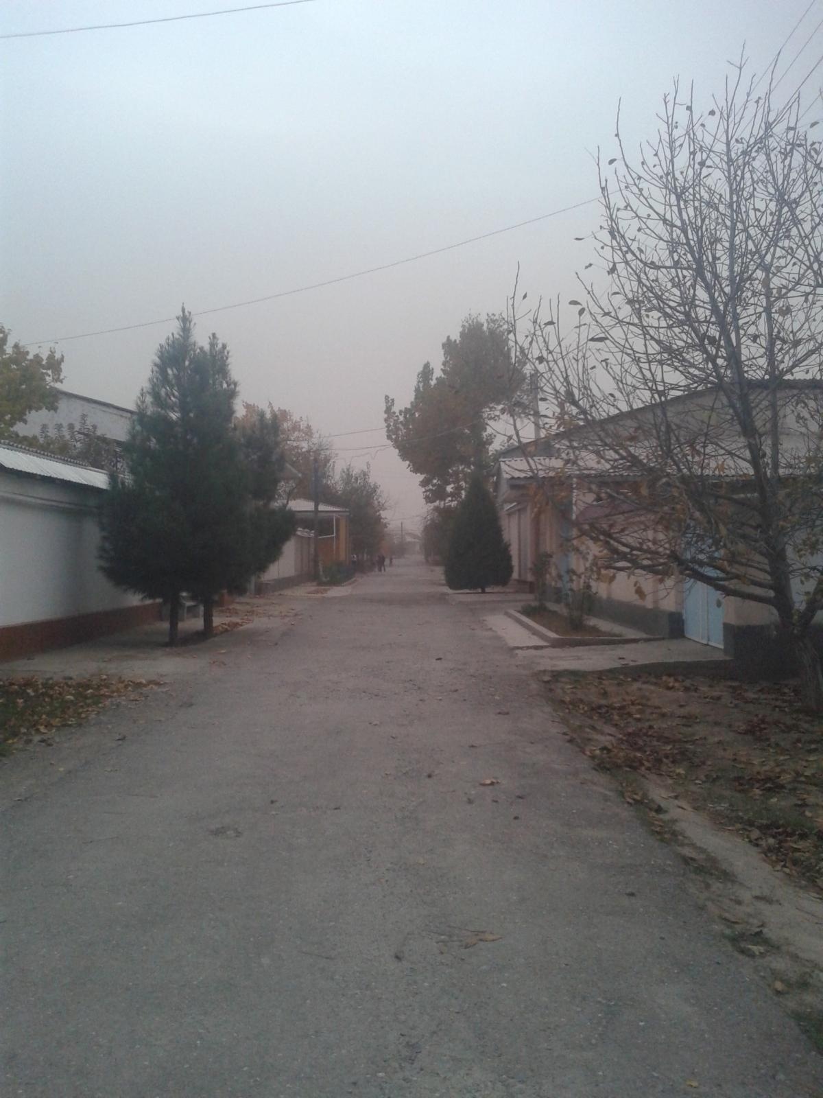 20161102_170958.jpg