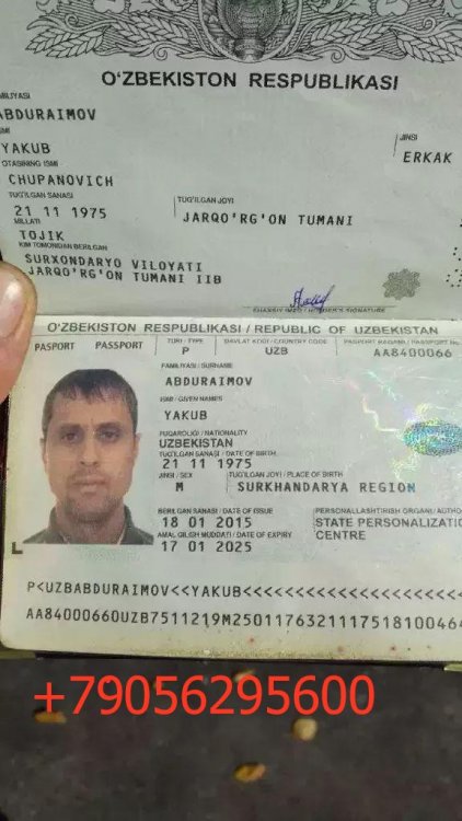 паспорт йуколди телеграмм таксичилар.jpg