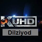 Dilziyod